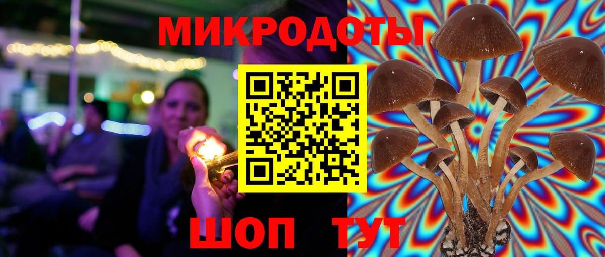 Псилоцибиновые грибы мицелий Сосновоборск