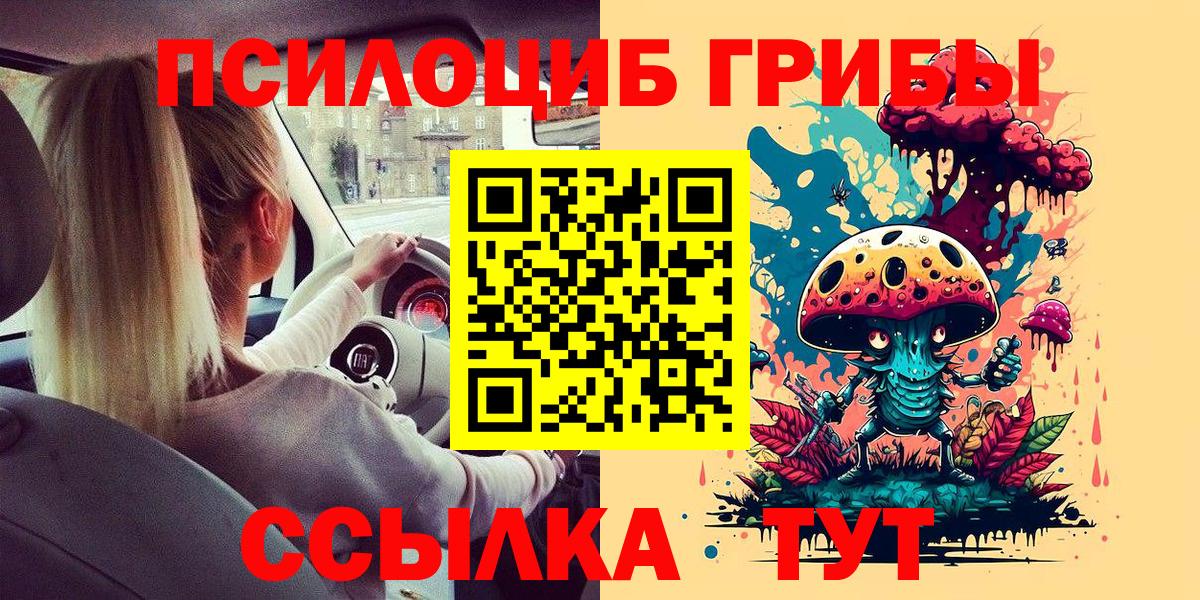 Сосновоборск  Псилоцибиновые грибы Cubensis  Вход с VPN 